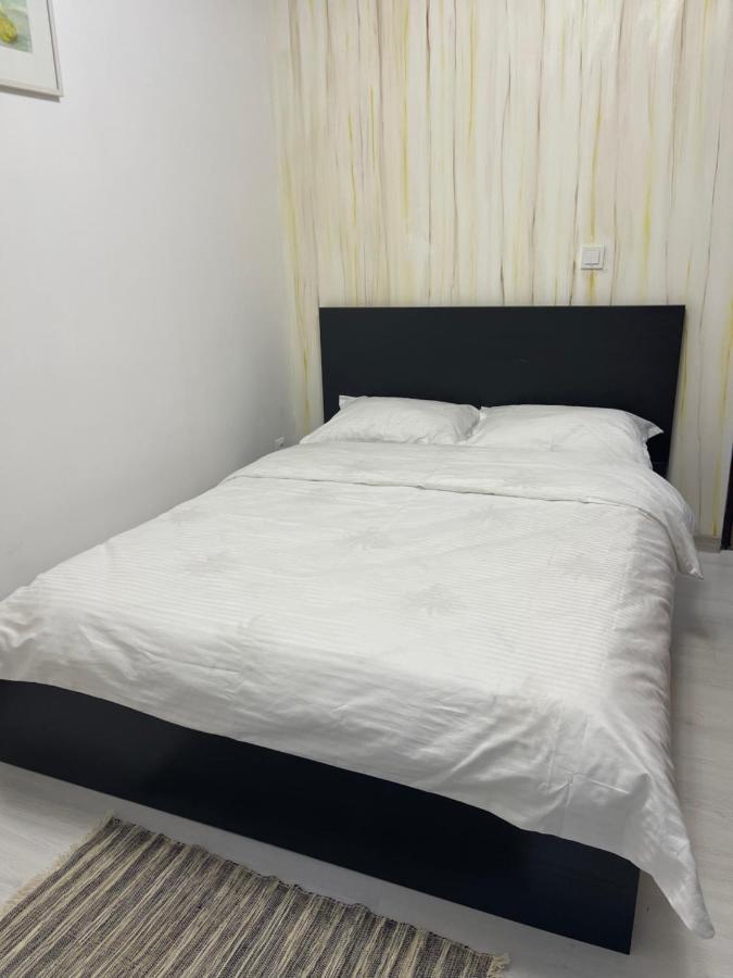 Guest House Targu Jiu Exterior photo